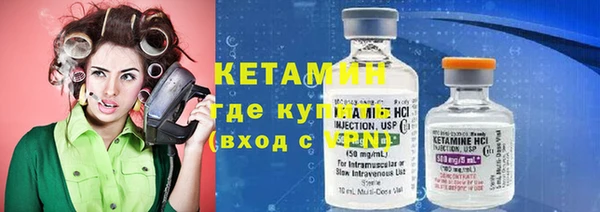 индика Арсеньев