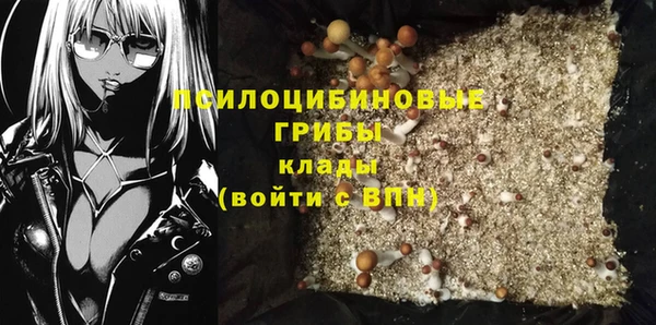 ECSTASY Армянск