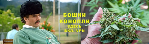 индика Арсеньев