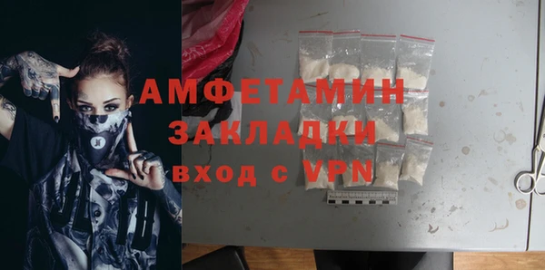 индика Арсеньев