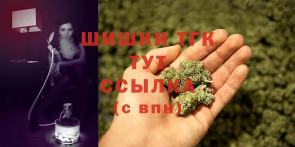 индика Арсеньев