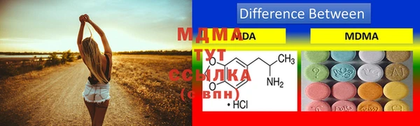 индика Арсеньев