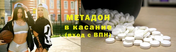 индика Арсеньев