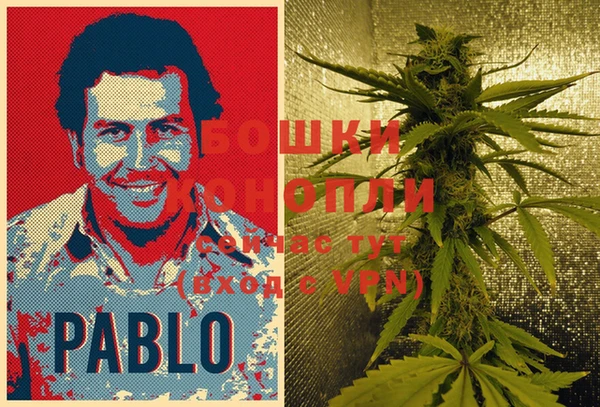 ECSTASY Армянск