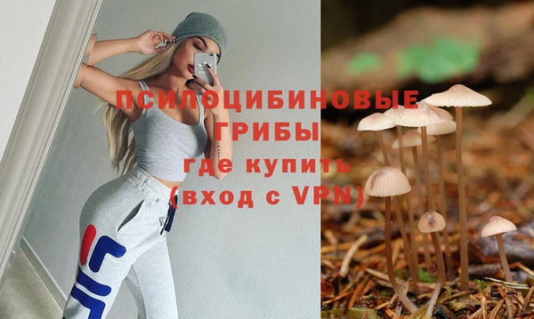 индика Арсеньев