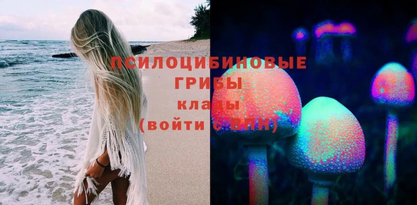 MDMA Premium VHQ Аркадак