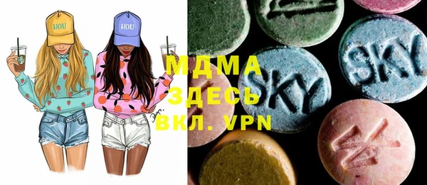 индика Арсеньев