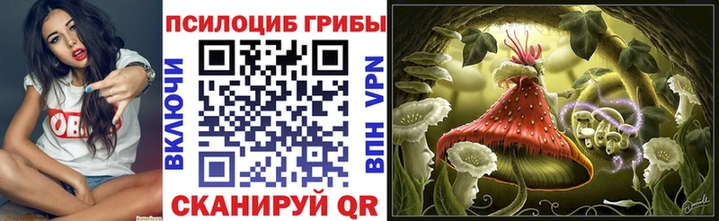 хочу   Острогожск  Галлюциногенные грибы Cubensis 